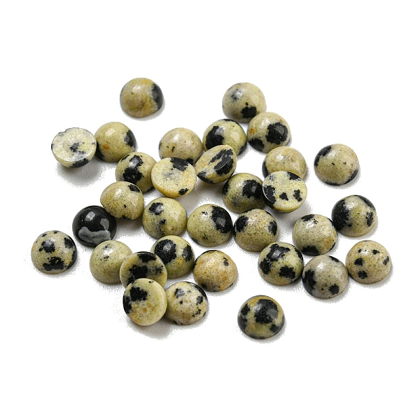 PandaHall Natural Dalmatian Jasper Cabochons, Half Round, 4x2~2.5mm Dalmatian Jasper Half Round
PandaHall Natural Dalmatian Jasper Cabochons, Half Round, 4x2~2.5mm Dalmatian Jasper Half Round