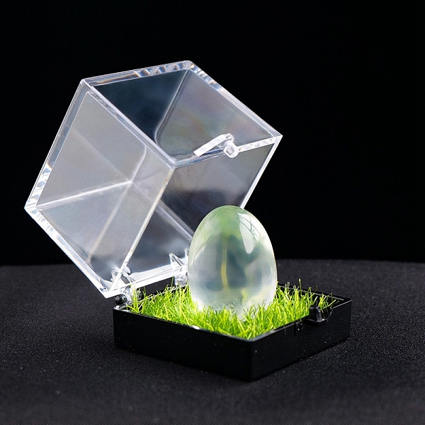 PandaHall Natural Quartz Crystal Healing Egg Mineral Specimen Box, Reiki Raw Stone for Energy Balancing Meditation Therapy, 20x17mm Quartz...
PandaHall Natural Quartz Crystal Healing Egg Mineral Specimen Box, Reiki Raw Stone for Energy Balancing Meditation Therapy, 20x17mm Quartz...