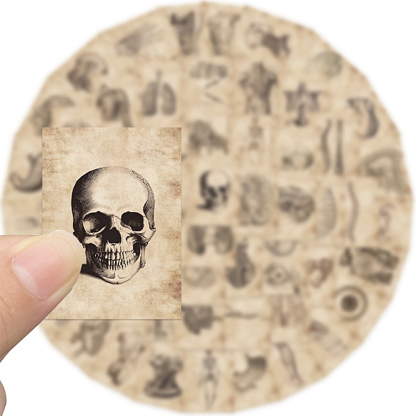 PandaHall Waterproof PVC Adhesive Stickers, for Suitcase, Skateboard, Refrigerator, Helmet, Mobile Phone Shell, Skeleton Pattern, 30~60mm..., Orange
PandaHall Waterproof PVC Adhesive Stickers, for Suitcase, Skateboard, Refrigerator, Helmet, Mobile Phone Shell, Skeleton Pattern, 30~60mm..., Orange