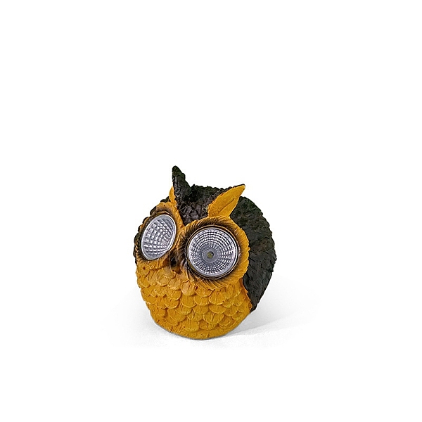 PandaHall Creative Owl Resin Display Decorations, for Office Home Crafts Ornament, Goldenrod, 90x90x100mm Resin Owl Gold
PandaHall Creative Owl Resin Display Decorations, for Office Home Crafts Ornament, Goldenrod, 90x90x100mm Resin Owl Gold