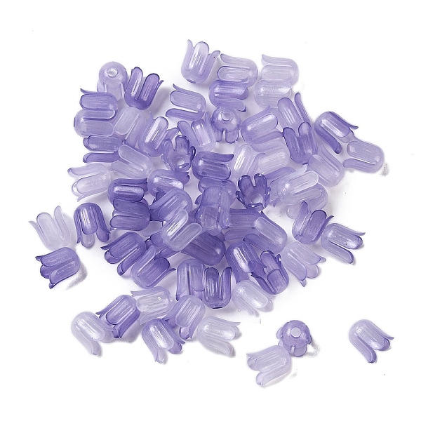 PandaHall Transparent Acrylic Beads Caps, Flower, Medium Purple, 11.5x10mm, Hole: 2.8mm, 2000pcs/500g Acrylic
PandaHall Transparent Acrylic Beads Caps, Flower, Medium Purple, 11.5x10mm, Hole: 2.8mm, 2000pcs/500g Acrylic