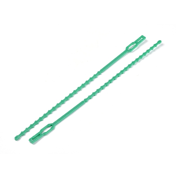 PandaHall Reusable Plastic Plant Cable Ties, Adjustable Plant Twist Ties, Garden Tool, Medium Sea Green, 222x5~9x1.5~2mm, about 100pcs/bag...
PandaHall Reusable Plastic Plant Cable Ties, Adjustable Plant Twist Ties, Garden Tool, Medium Sea Green, 222x5~9x1.5~2mm, about 100pcs/bag...