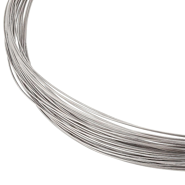 PandaHall BENECREAT 24 Gauge Titanium Wire Round Beading Wire, 65.5 Feet Soft Welding Wire Stainless Steel Color Wire for Craft Jewelry...
PandaHall BENECREAT 24 Gauge Titanium Wire Round Beading Wire, 65.5 Feet Soft Welding Wire Stainless Steel Color Wire for Craft Jewelry...