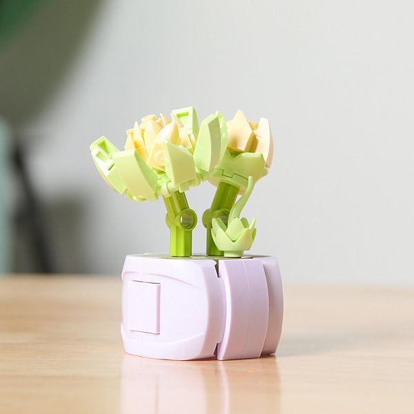 PandaHall Plastic Succulent Flowers Plant Building Blocks DIY Toy Set, Succulents Bonsai Model, for Gift Home Decor, Yellow Green...
PandaHall Plastic Succulent Flowers Plant Building Blocks DIY Toy Set, Succulents Bonsai Model, for Gift Home Decor, Yellow Green...