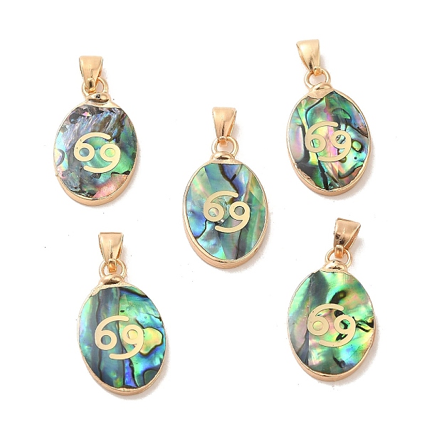 PandaHall Constellation Natural Paua Shell Pendants, Golden Tone Brass Oval Charms, Cancer, 22x13x3~3.5mm, Hole: 6x3mm Paua Shell Cancer
PandaHall Constellation Natural Paua Shell Pendants, Golden Tone Brass Oval Charms, Cancer, 22x13x3~3.5mm, Hole: 6x3mm Paua Shell Cancer