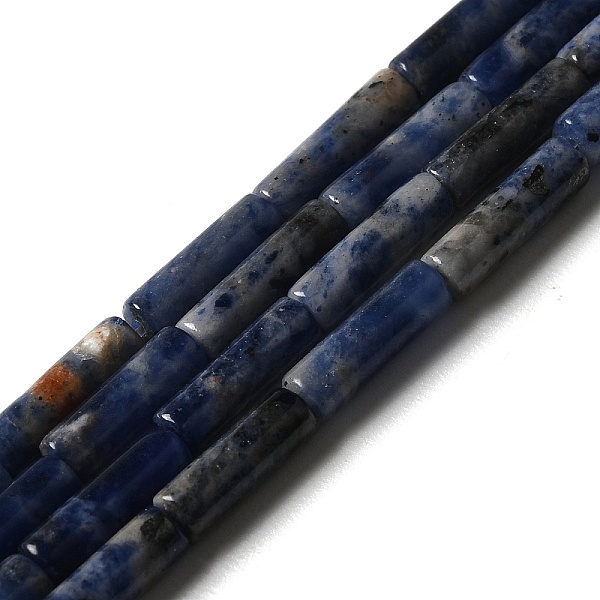 PandaHall Natural Sodalite Beads Strands, Column, 13.5~14x4~4.5mm, Hole: 1.2mm, about 28pcs/strand, 15.16''(38.5cm) Sodalite Column
PandaHall Natural Sodalite Beads Strands, Column, 13.5~14x4~4.5mm, Hole: 1.2mm, about 28pcs/strand, 15.16''(38.5cm) Sodalite Column