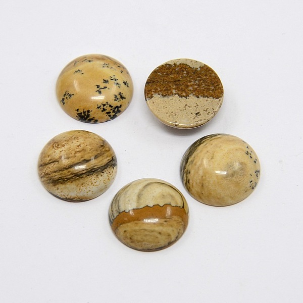 PandaHall Natural Gemstone Cabochons, Half Round/Dome, Picture Jasper, 15x5mm Picture Jasper Half Round
PandaHall Natural Gemstone Cabochons, Half Round/Dome, Picture Jasper, 15x5mm Picture Jasper Half Round