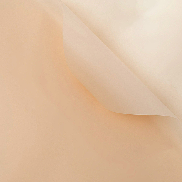 PandaHall Solid Color Plastic Paper Flower Wrapping Paper, Waterproof Florist Bouquet Paper, DIY Crafts, PeachPuff, 550~580x550~580x0.05mm..., Brown
PandaHall Solid Color Plastic Paper Flower Wrapping Paper, Waterproof Florist Bouquet Paper, DIY Crafts, PeachPuff, 550~580x550~580x0.05mm..., Brown