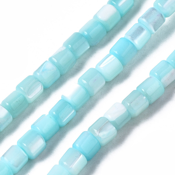 PandaHall Natural Trochid Shell/Trochus Shell Bead Strands, Dyed, Column, Sky Blue, 3.5x3.5mm, Hole: 1mm, about 111~117pcs/strand, 15.35...
PandaHall Natural Trochid Shell/Trochus Shell Bead Strands, Dyed, Column, Sky Blue, 3.5x3.5mm, Hole: 1mm, about 111~117pcs/strand, 15.35...