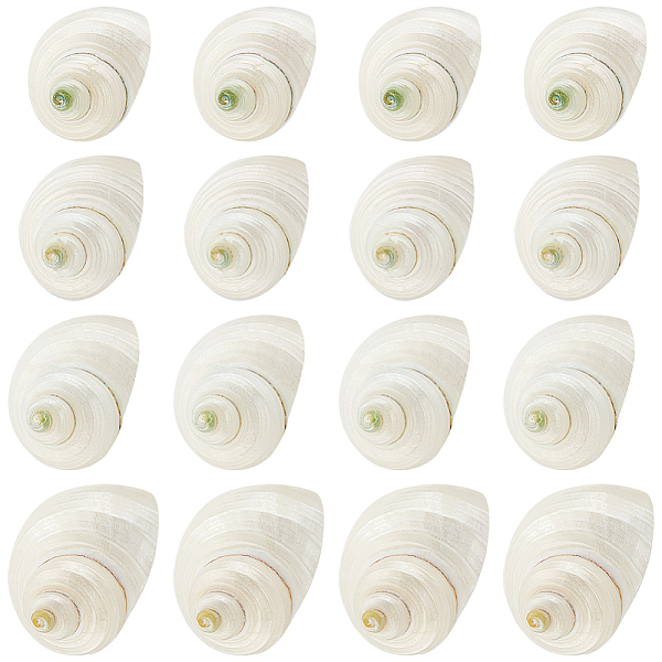 PandaHall PH 16pcs Natural Spiral Shell Beads, 0.8~1.1 Inch Mouth Turbo Seashells Undrilled Spiral Seashells NO Hole Shells for Home Party...
PandaHall PH 16pcs Natural Spiral Shell Beads, 0.8~1.1 Inch Mouth Turbo Seashells Undrilled Spiral Seashells NO Hole Shells for Home Party...