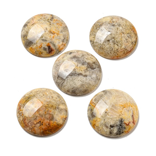 PandaHall Natural Crazy Agate Cabochons, Flat Round, 30x7~8.5mm Crazy Agate Flat Round
PandaHall Natural Crazy Agate Cabochons, Flat Round, 30x7~8.5mm Crazy Agate Flat Round