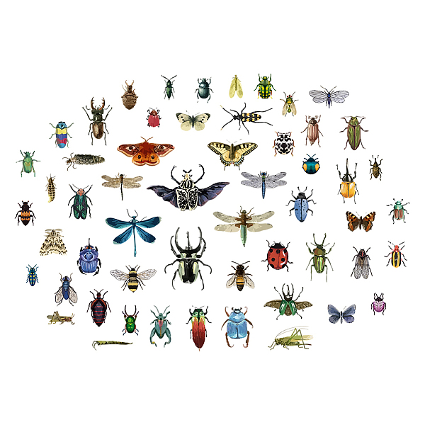 PandaHall PVC Wall Stickers, Wall Decoration, Insect Pattern, 290x900mm, 2pcs/set PVC Insects
PandaHall PVC Wall Stickers, Wall Decoration, Insect Pattern, 290x900mm, 2pcs/set PVC Insects
