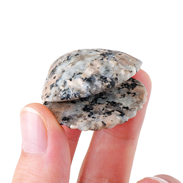 PandaHall Natural Sesame Jasper Display Decorations, for Home Office Desk, Shell Shape, 30~35mm Sesame Jasper Shell Shape
PandaHall Natural Sesame Jasper Display Decorations, for Home Office Desk, Shell Shape, 30~35mm Sesame Jasper Shell Shape