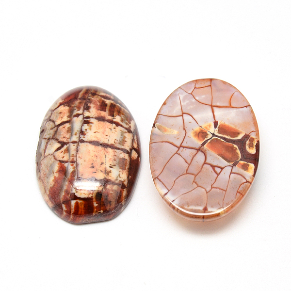 PandaHall Dyed Natural Fire Agate Cabochons, Oval, Peru, 30x20x7mm Natural Agate Oval Brown
PandaHall Dyed Natural Fire Agate Cabochons, Oval, Peru, 30x20x7mm Natural Agate Oval Brown