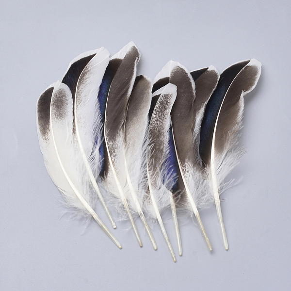 PandaHall Feather Costume Accessories, Dyed, White, 115~160x20~35mm Feather Feather White
PandaHall Feather Costume Accessories, Dyed, White, 115~160x20~35mm Feather Feather White