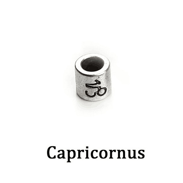 PandaHall Antique Silver Plated Alloy European Beads, Large Hole Beads, Column with Twelve Constellations, Capricorn, 7.5x7.5mm, Hole: 4mm...
PandaHall Antique Silver Plated Alloy European Beads, Large Hole Beads, Column with Twelve Constellations, Capricorn, 7.5x7.5mm, Hole: 4mm...