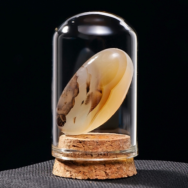 PandaHall Raw Natural Chalcedony Nuggets Ornaments, Glass & Wood Bell Jars Mineral Specimens Statues for Home Desktop Feng Shui Decoration...
PandaHall Raw Natural Chalcedony Nuggets Ornaments, Glass & Wood Bell Jars Mineral Specimens Statues for Home Desktop Feng Shui Decoration...