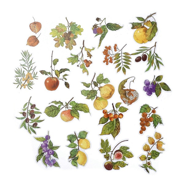 PandaHall 20Pcs 20 Styles PET Waterproof Stickers, Self-Adhesive Decals for DIY Scrapbooking, Photo Album Decoration, Fruit, Green...
PandaHall 20Pcs 20 Styles PET Waterproof Stickers, Self-Adhesive Decals for DIY Scrapbooking, Photo Album Decoration, Fruit, Green...
