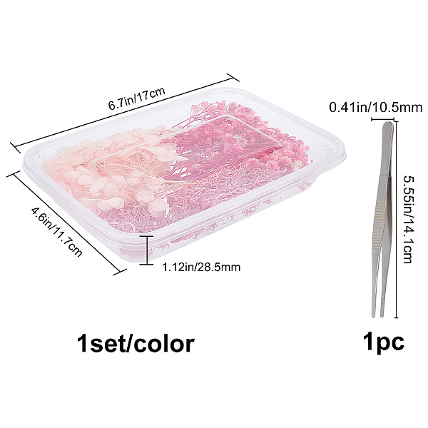 PandaHall Gorgecraft 2 Sets Pink Series Dry Flower Accessories Set, with Stainless Steel Tweezers, for DIY Bride's Headwear Garland Frame..., Multicolor
PandaHall Gorgecraft 2 Sets Pink Series Dry Flower Accessories Set, with Stainless Steel Tweezers, for DIY Bride's Headwear Garland Frame..., Multicolor