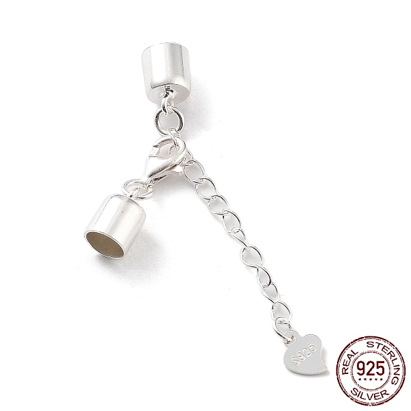 PandaHall 925 Sterling Silver Curb Chain Extender, End Chains with Lobster Claw Clasps and Cord Ends, Heart Chain Tabs, with S925 Stamp...
PandaHall 925 Sterling Silver Curb Chain Extender, End Chains with Lobster Claw Clasps and Cord Ends, Heart Chain Tabs, with S925 Stamp...