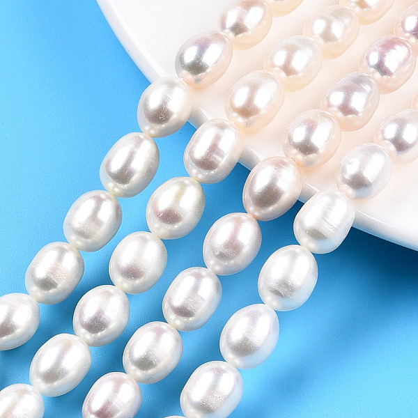 PandaHall Natural Cultured Freshwater Pearl Beads Strands, Rice, Creamy White, 9.5~12x8~9mm, Hole: 0.6mm, about 35~36pcs/strand, 14.49...
PandaHall Natural Cultured Freshwater Pearl Beads Strands, Rice, Creamy White, 9.5~12x8~9mm, Hole: 0.6mm, about 35~36pcs/strand, 14.49...