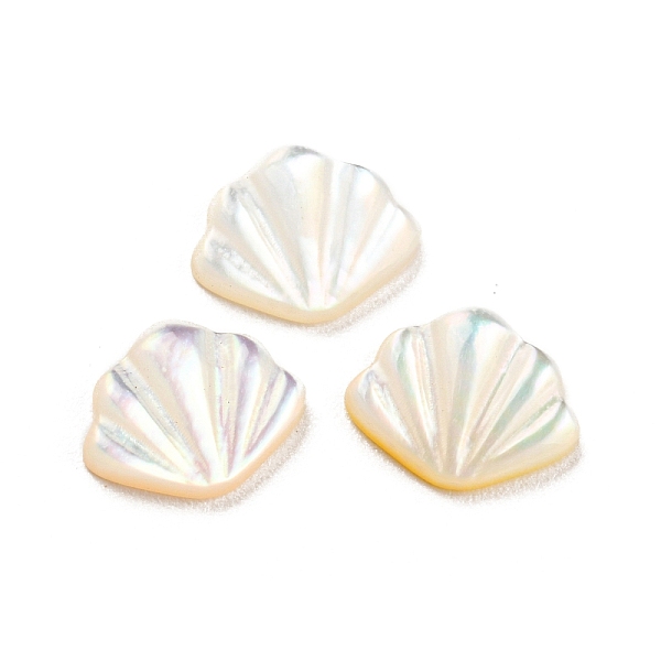 PandaHall Natural Sea Shell Cabochons, Shell Shape, White, 7x8.5x2mm Sea Shell Shell Shape White
PandaHall Natural Sea Shell Cabochons, Shell Shape, White, 7x8.5x2mm Sea Shell Shell Shape White