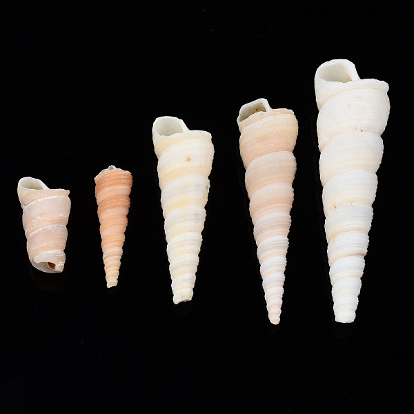 PandaHall Natural Spiral Shell Beads, Turritella Shell, Undrilled/No Hole Beads, Antique White, 29~72x9~20mm Spiral Shell Shell Shape
PandaHall Natural Spiral Shell Beads, Turritella Shell, Undrilled/No Hole Beads, Antique White, 29~72x9~20mm Spiral Shell Shell Shape