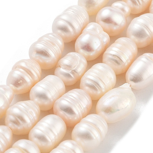 PandaHall Natural Cultured Freshwater Pearl Beads Strands, Grade AB, Rice, PeachPuff, 7~8mm, Hole: 0.6mm, about 19pcs/strand, 6.69''(17cm)..., Brown
PandaHall Natural Cultured Freshwater Pearl Beads Strands, Grade AB, Rice, PeachPuff, 7~8mm, Hole: 0.6mm, about 19pcs/strand, 6.69''(17cm)..., Brown