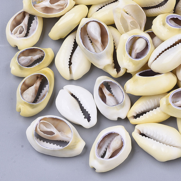 PandaHall Natural Cowrie Shell Beads, No Hole/Undrilled, Light Khaki, 19~27x14~19x6~7mm Cowrie Shell Shell Shape
PandaHall Natural Cowrie Shell Beads, No Hole/Undrilled, Light Khaki, 19~27x14~19x6~7mm Cowrie Shell Shell Shape