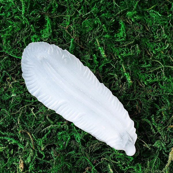 PandaHall Natural Selenite Charging Bowl for Cleansing, Recharging Crystal & Reiki Gemstones, Home Decoration, Feather, 80~90x30mm Selenite...
PandaHall Natural Selenite Charging Bowl for Cleansing, Recharging Crystal & Reiki Gemstones, Home Decoration, Feather, 80~90x30mm Selenite...