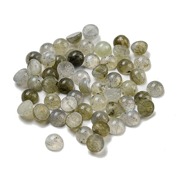 PandaHall Natural Labradorite Cabochons, Half Round, 4x2~2.5mm Labradorite Half Round
PandaHall Natural Labradorite Cabochons, Half Round, 4x2~2.5mm Labradorite Half Round