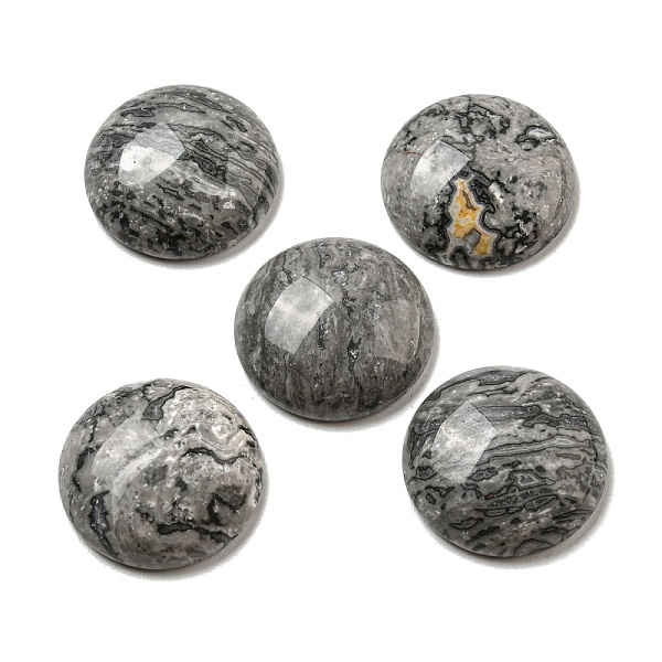 PandaHall Natural Map Stone Cabochons, Flat Round, 20~21.5x6~8mm Map Stone Flat Round
PandaHall Natural Map Stone Cabochons, Flat Round, 20~21.5x6~8mm Map Stone Flat Round