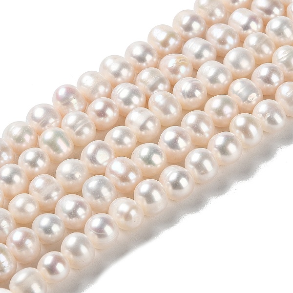 PandaHall Natural Cultured Freshwater Pearl Beads Strands, Potato, Grade 3A+, PapayaWhip, 7~8x6~7mm, Hole: 0.7mm, about 58pcs/strand..., Orange
PandaHall Natural Cultured Freshwater Pearl Beads Strands, Potato, Grade 3A+, PapayaWhip, 7~8x6~7mm, Hole: 0.7mm, about 58pcs/strand..., Orange
