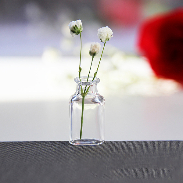 PandaHall Transparent Miniature Glass Vase Bottles, Micro Landscape Garden Dollhouse Accessories, Photography Props Decorations, Clear...
PandaHall Transparent Miniature Glass Vase Bottles, Micro Landscape Garden Dollhouse Accessories, Photography Props Decorations, Clear...