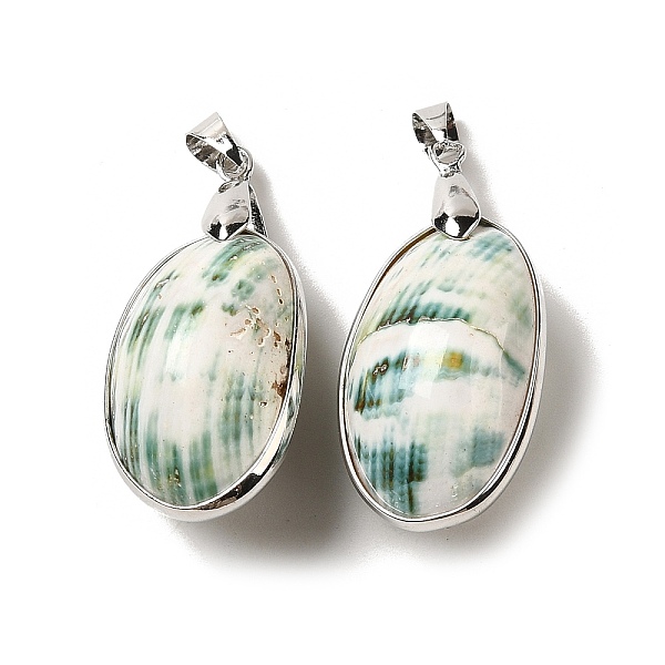 PandaHall Electroplate Natural Shell Pendants, Platinum Plated Brass Oval Charms with Iron Snap on Bails, 39x19x17mm, Hole: 6x4mm Other Sea..., Green
PandaHall Electroplate Natural Shell Pendants, Platinum Plated Brass Oval Charms with Iron Snap on Bails, 39x19x17mm, Hole: 6x4mm Other Sea..., Green