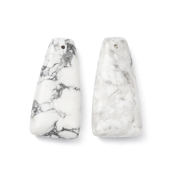 PandaHall Natural Howlite Pendants, Trapezoid Charms, 39.5~40x20~20.5x8~8.5mm, Hole: 1.4mm Howlite Trapezoid
PandaHall Natural Howlite Pendants, Trapezoid Charms, 39.5~40x20~20.5x8~8.5mm, Hole: 1.4mm Howlite Trapezoid