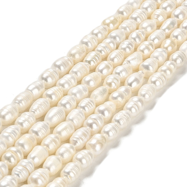 PandaHall Natural Cultured Freshwater Pearl Beads Strands, Rice, Grade AB, White, 8~12x6~7mm, Hole: 0.7mm, about 37pcs/strand, 12.60''(32cm)...
PandaHall Natural Cultured Freshwater Pearl Beads Strands, Rice, Grade AB, White, 8~12x6~7mm, Hole: 0.7mm, about 37pcs/strand, 12.60''(32cm)...