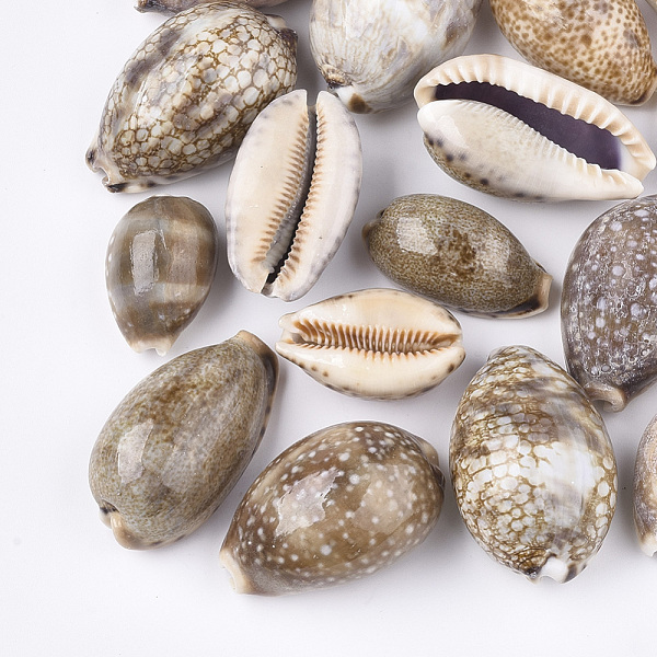 PandaHall Cowrie Shell Beads, Undrilled/No Hole Beads, Camel, 33~50x20~32x16~28mm Cowrie Shell Others Brown
PandaHall Cowrie Shell Beads, Undrilled/No Hole Beads, Camel, 33~50x20~32x16~28mm Cowrie Shell Others Brown