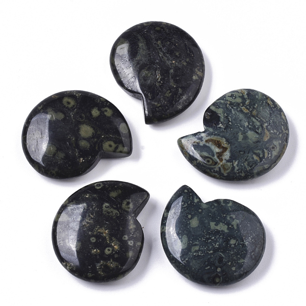 PandaHall Natural Kambaba Jasper Beads, No Hole/Undrilled, Spiral Shell Shape, 32.5x28x8mm Kambaba Jasper Shell Shape
PandaHall Natural Kambaba Jasper Beads, No Hole/Undrilled, Spiral Shell Shape, 32.5x28x8mm Kambaba Jasper Shell Shape
