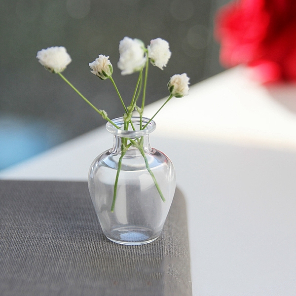 PandaHall Glass Vase Ornaments, Micro Landscape Home Dollhouse Accessories, Pretending Prop Decorations, Clear, 27x20mm Glass Vase Clear
PandaHall Glass Vase Ornaments, Micro Landscape Home Dollhouse Accessories, Pretending Prop Decorations, Clear, 27x20mm Glass Vase Clear
