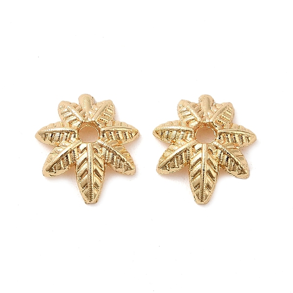PandaHall Brass Bead Caps, 7-Petal Flower, Real 14K Gold Plated, 9x8x2.5mm, Hole: 1.5mm Brass
PandaHall Brass Bead Caps, 7-Petal Flower, Real 14K Gold Plated, 9x8x2.5mm, Hole: 1.5mm Brass