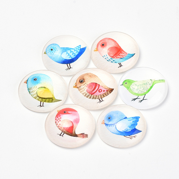 PandaHall Printed Glass Flat Back Cabochons, Dome/Half Round, Bird Pattern, Mixed Color, 20x6mm Glass Half Round Multicolor
PandaHall Printed Glass Flat Back Cabochons, Dome/Half Round, Bird Pattern, Mixed Color, 20x6mm Glass Half Round Multicolor