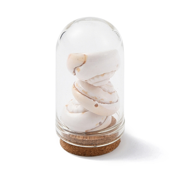 PandaHall Glass Dome Bottle Display Decorations, with Natural Shell Bead Inside and Cork Base, PapayaWhip, 46~48x25mm Shell Shell Shape..., Orange
PandaHall Glass Dome Bottle Display Decorations, with Natural Shell Bead Inside and Cork Base, PapayaWhip, 46~48x25mm Shell Shell Shape..., Orange