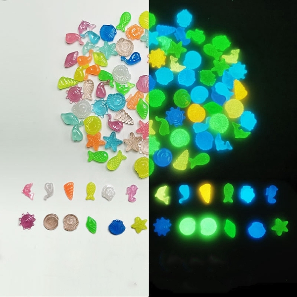PandaHall Luminous Acrylic Display Decoration, Mixed Shapes, 12~18mm Acrylic Mixed Shapes Multicolor
PandaHall Luminous Acrylic Display Decoration, Mixed Shapes, 12~18mm Acrylic Mixed Shapes Multicolor