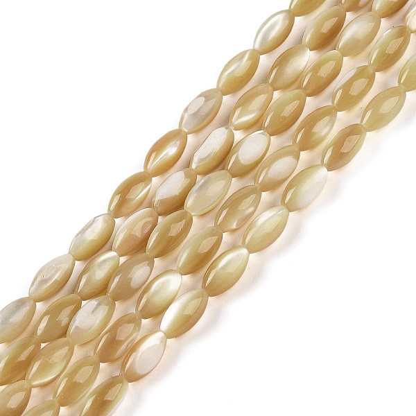 PandaHall Natural Trochus Shell Beads Strands, Rice, Dark Goldenrod, 12x6mm, Hole: 0.5mm, about 33pcs/strand, 15.16 inch(38.5cm) Trochus...
PandaHall Natural Trochus Shell Beads Strands, Rice, Dark Goldenrod, 12x6mm, Hole: 0.5mm, about 33pcs/strand, 15.16 inch(38.5cm) Trochus...