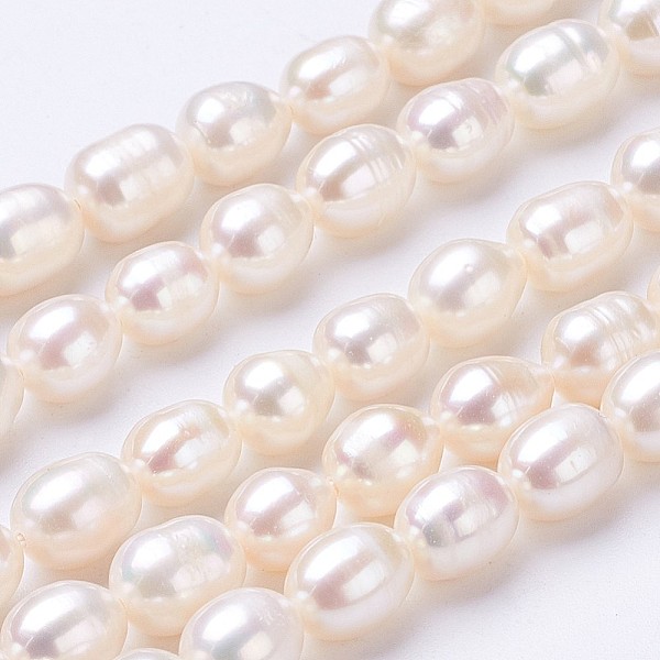 PandaHall Natural Cultured Freshwater Pearl Beads Strands, Rice, Seashell Color, 7~8x6~7mm, Hole: 0.5mm, about 45~46pcs/strand, 13.8 inch...
PandaHall Natural Cultured Freshwater Pearl Beads Strands, Rice, Seashell Color, 7~8x6~7mm, Hole: 0.5mm, about 45~46pcs/strand, 13.8 inch...