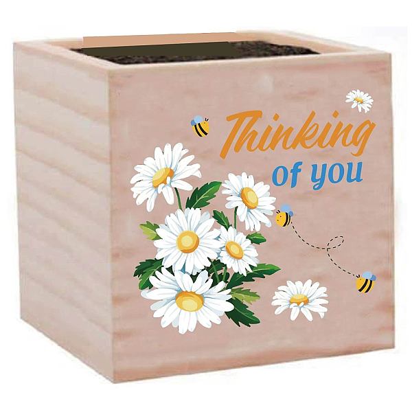 PandaHall Willow Wood Planters, Flower Pots, for Garden Supplies, Square with Word Thinking of You, April Daisy, 75x75x75mm Wood April Daisy
PandaHall Willow Wood Planters, Flower Pots, for Garden Supplies, Square with Word Thinking of You, April Daisy, 75x75x75mm Wood April Daisy