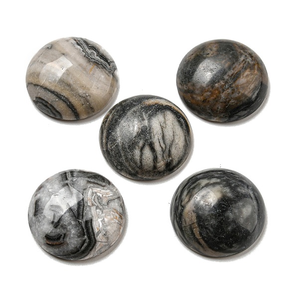 PandaHall Natural Crazy Agate Cabochons, Flat Round, 20~21.5x6~8mm Crazy Agate Flat Round
PandaHall Natural Crazy Agate Cabochons, Flat Round, 20~21.5x6~8mm Crazy Agate Flat Round