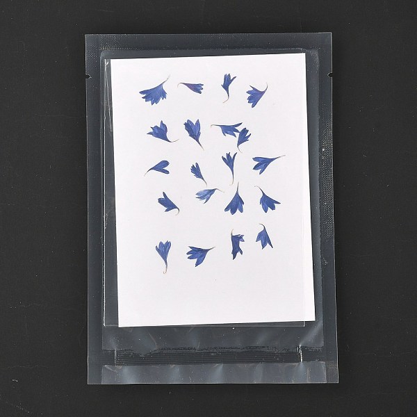 PandaHall Cornflower Embossing Dry Flower, for Cellphone, Photo Frame, Scrapbooking DIY Handmade Craft, Cornflower Blue, 9~18x5~13mm...
PandaHall Cornflower Embossing Dry Flower, for Cellphone, Photo Frame, Scrapbooking DIY Handmade Craft, Cornflower Blue, 9~18x5~13mm...