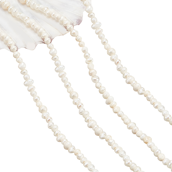 PandaHall 1 Strand Natural Cultured Freshwater Pearl Beads Strands, Rice, Seashell Color, 1.5~2x1.5~2x1.5~2mm, Hole: 0.5mm, about...
PandaHall 1 Strand Natural Cultured Freshwater Pearl Beads Strands, Rice, Seashell Color, 1.5~2x1.5~2x1.5~2mm, Hole: 0.5mm, about...